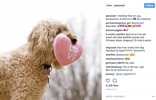 Wanneer PetSmart gebruikersfoto's opnieuw deelt op Instagram, geven ze een fotocredit aan de originele poster in het bijschrift.