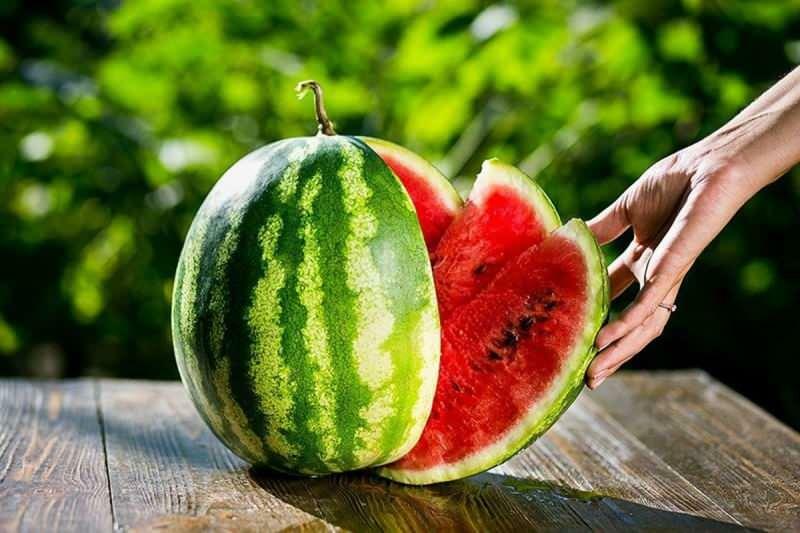 hoe watermeloen te kiezen?