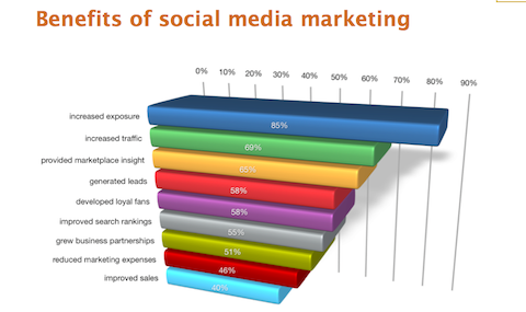 Rapport uit de sector social media marketing 2012