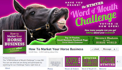 hoe u uw paardenbedrijf op de markt brengt