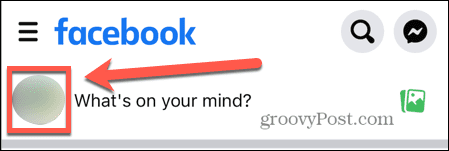 facebook profielpictogram