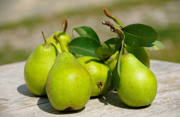 Voorkomt ergernis: wat zijn de voordelen van peer? Hoeveel peren zijn er? Waar is peer goed voor?