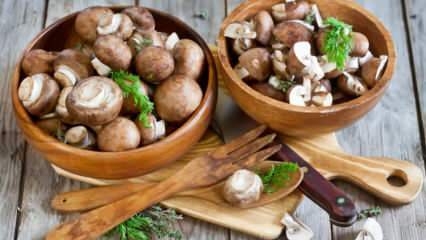 Hoe champignons schoon te maken? Wat zijn de tips voor het wassen van champignons?