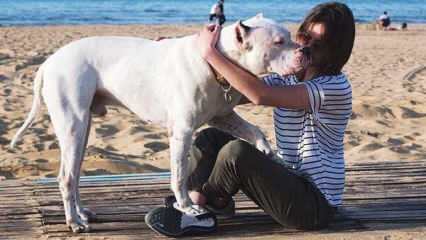 De jonge actrice Alina Boz nam afscheid van haar dode hond! Wie is Alina Boz?