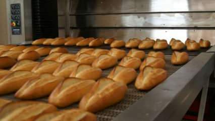 Deskundigen waarschuwden: Leg het brood 10 minuten in de oven van 90 graden