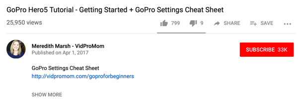 Hoe u een videoserie gebruikt om uw YouTube-kanaal te laten groeien, een voorbeeld van een leadmagneetlink die is gekoppeld aan een YouTube-video