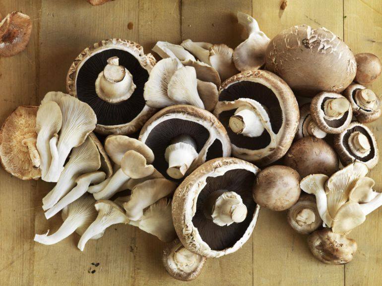 Trucs om te weten bij het koken van champignons
