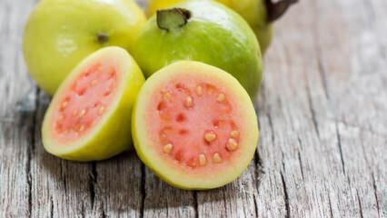 Wat is Guava-fruit? Wat zijn de voordelen?