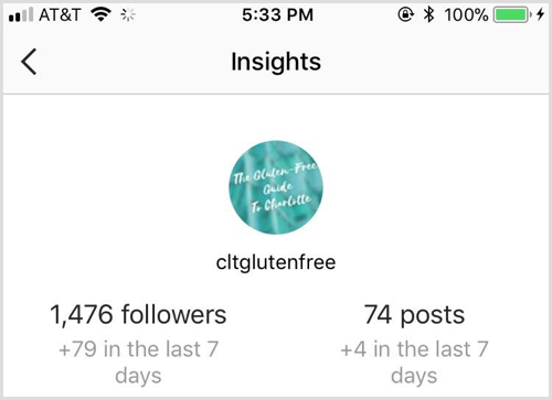 Overzicht van Instagram Insights