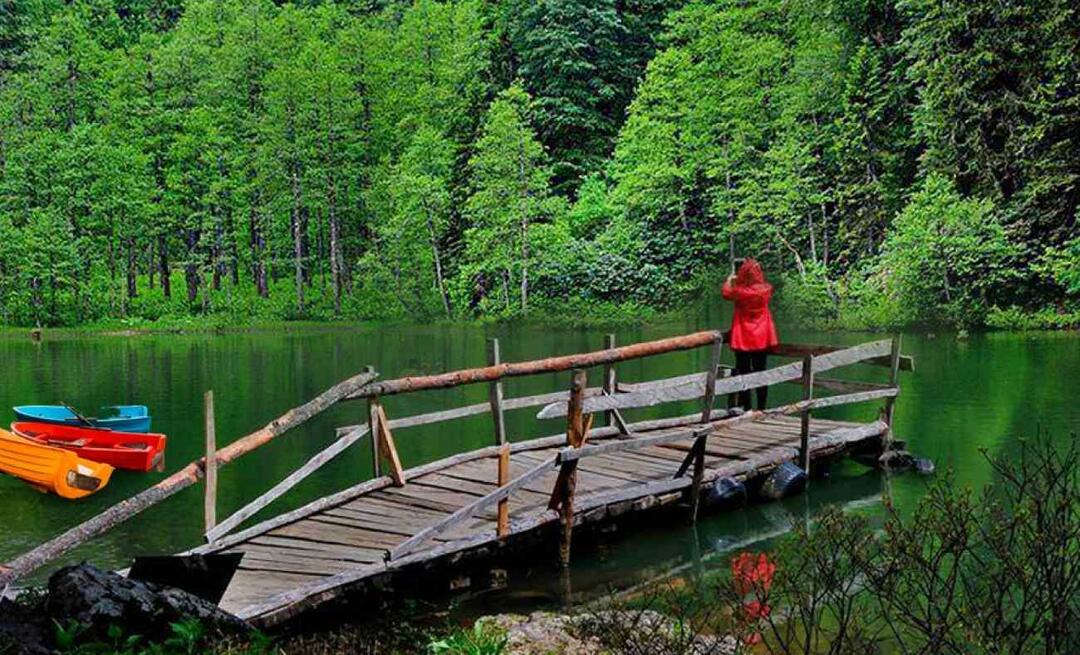 Waar ligt Artwin? Waar te gaan in Artvin? Wat zijn de bezienswaardigheden in Artvin?