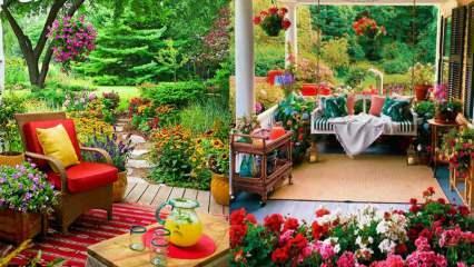 Bloemen die je in de herfst in je tuin en balkon kunt gebruiken!