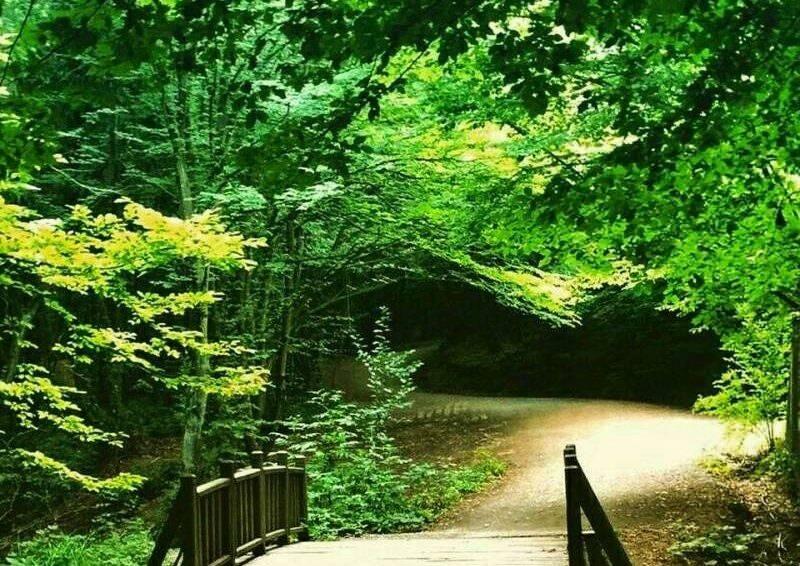 Kamperen in het natuurpark Polonezköy 