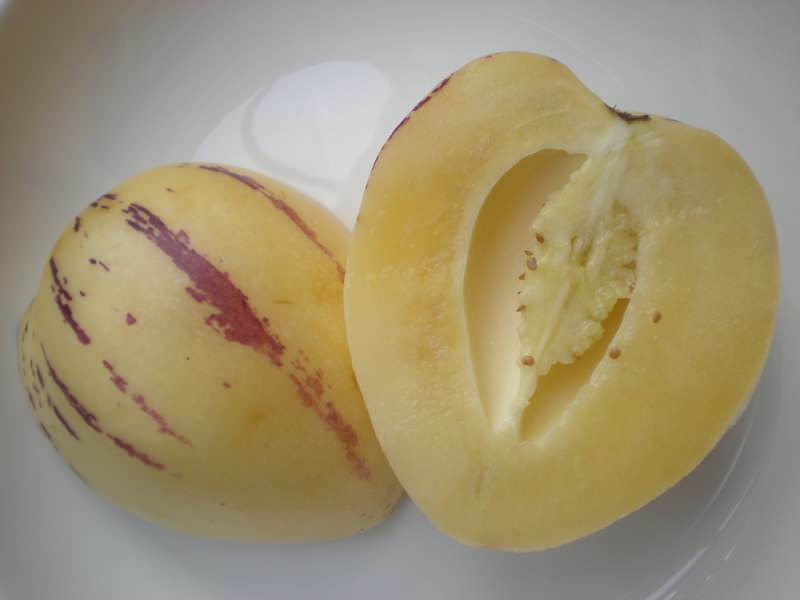 pepino fruit wordt gesneden als een meloen als een afbeelding