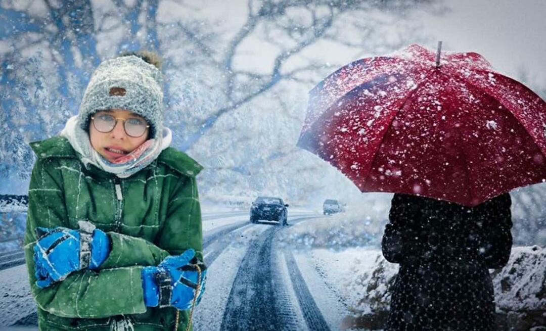 Wat is La Nina-winter? Wanneer begint de La Nina-winter? Wanneer gaat het sneeuwen?