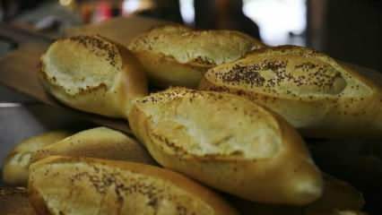 Hoe wordt oudbakken brood beoordeeld? Recepten gemaakt met oudbakken brood
