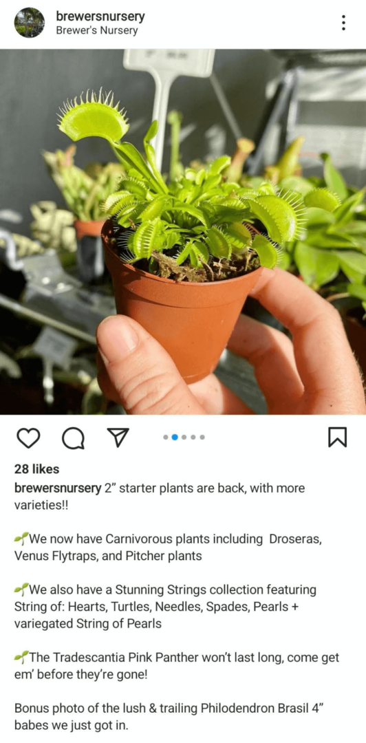 afbeelding van Instagram-feedpost met een product