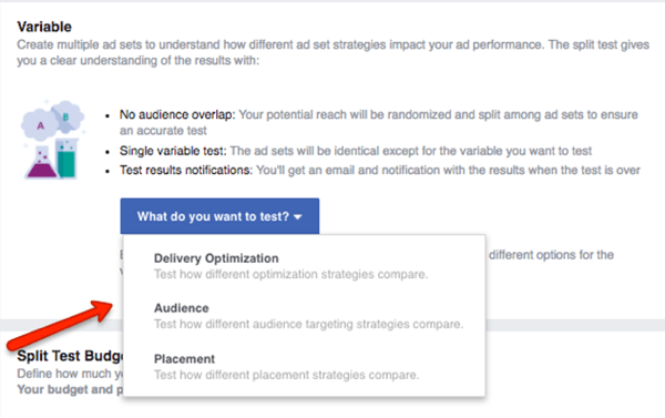 Selecteer welke variabele u wilt testen in uw Facebook-campagne.