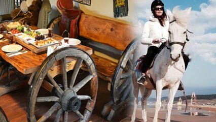 Waar is het paardrijden in Istanbul? Paardenboerderijpaden voor paardrijden