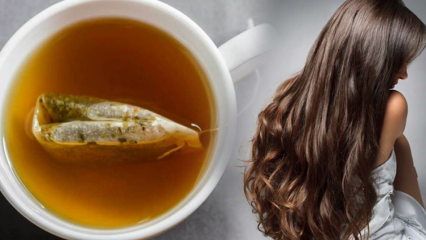 Wat zijn de voordelen van groene thee voor haar? Recept voor het huidmasker van groene thee
