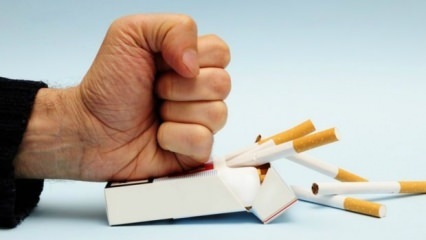 Effecten van stoppen met roken op het lichaam! Wat gebeurt er in het lichaam als je stopt met roken?