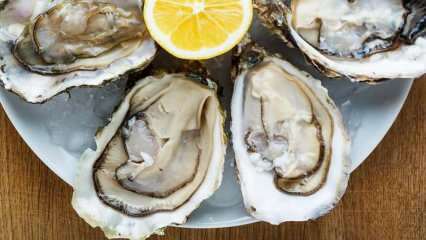 Wat zijn oesters en hoe worden oesters schoongemaakt? Hoe oesters eten en wat zijn hun voordelen?