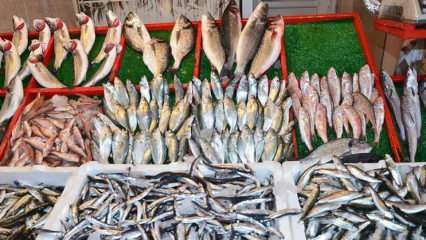 Hoe torische vissen verwijderen? Trucs om de torische vis te extraheren