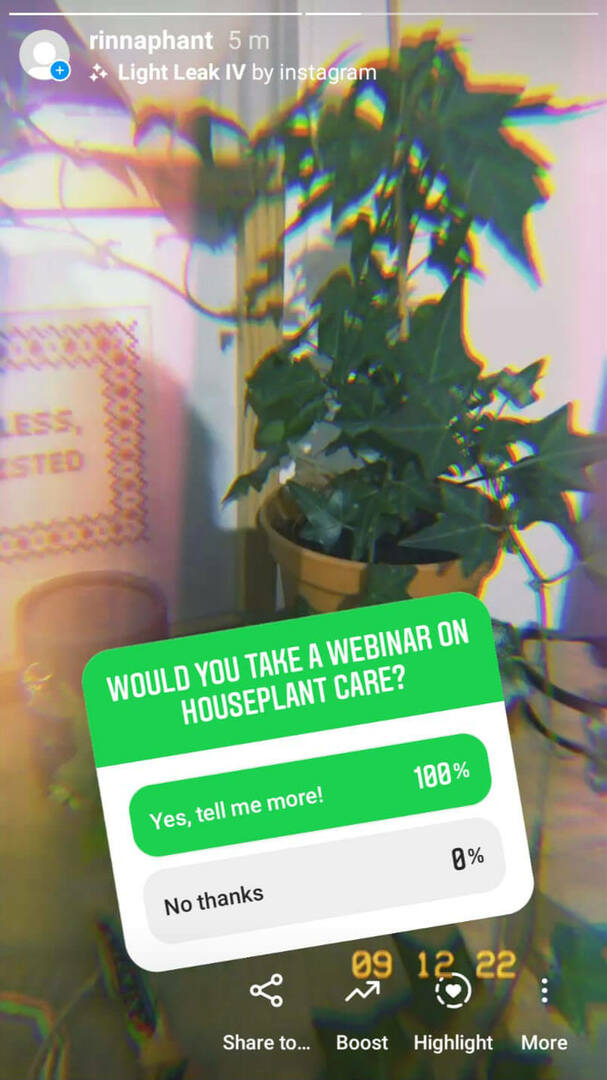 how-to-sell-on-instagram-identify-leads-and-seed-your-offer-rinnaphant-story-poll-voorbeeld-2