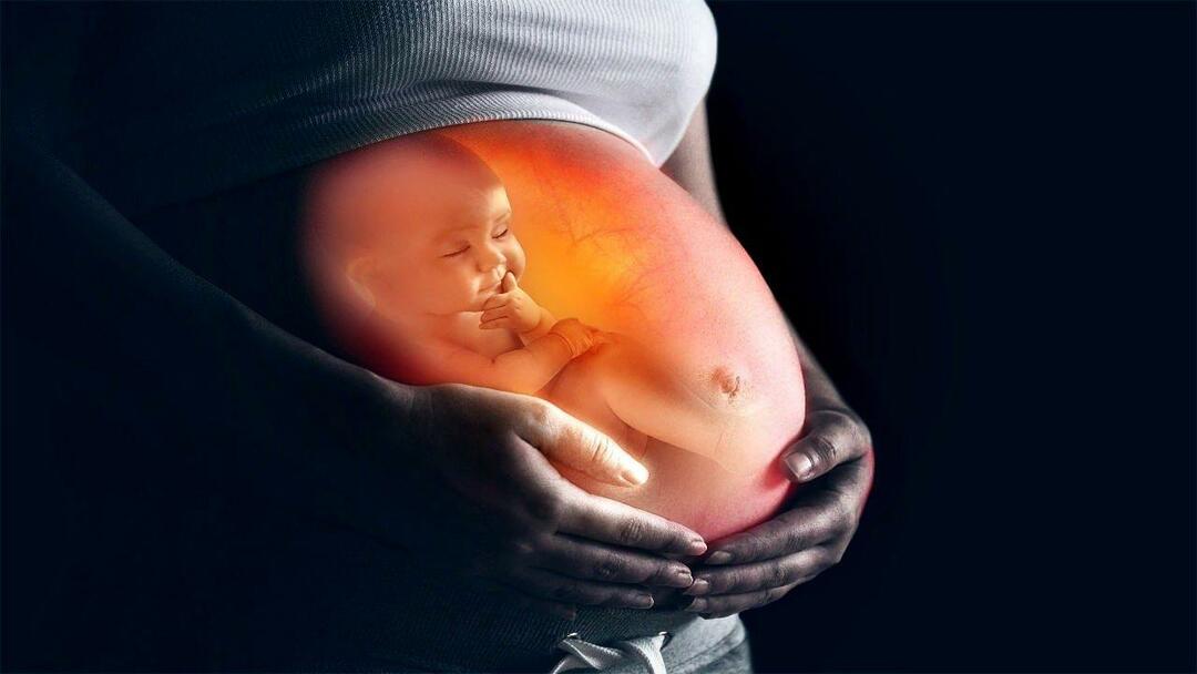Hoe de baby in de baarmoeder van de moeder te voeden