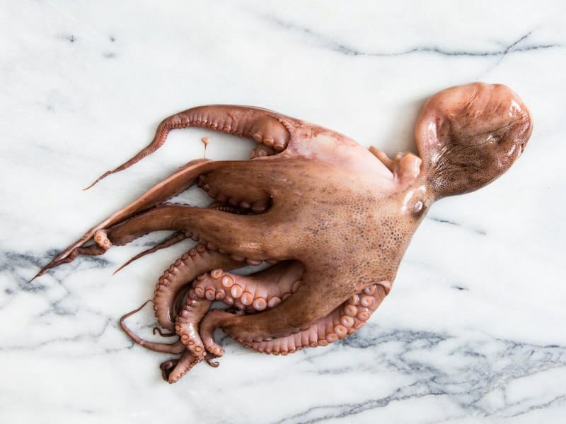 Hoe octopus thuis schoon te maken en te koken? De gemakkelijkste kooktechniek voor octopus