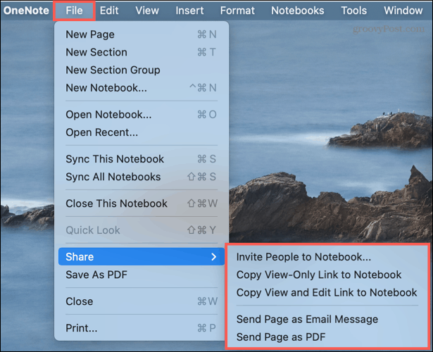 Opties voor delen in OneNote op Mac