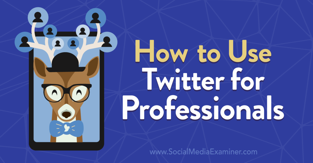 Hoe Twitter voor professionals te gebruiken door Anna Sonnenberg op Social Media Examiner.