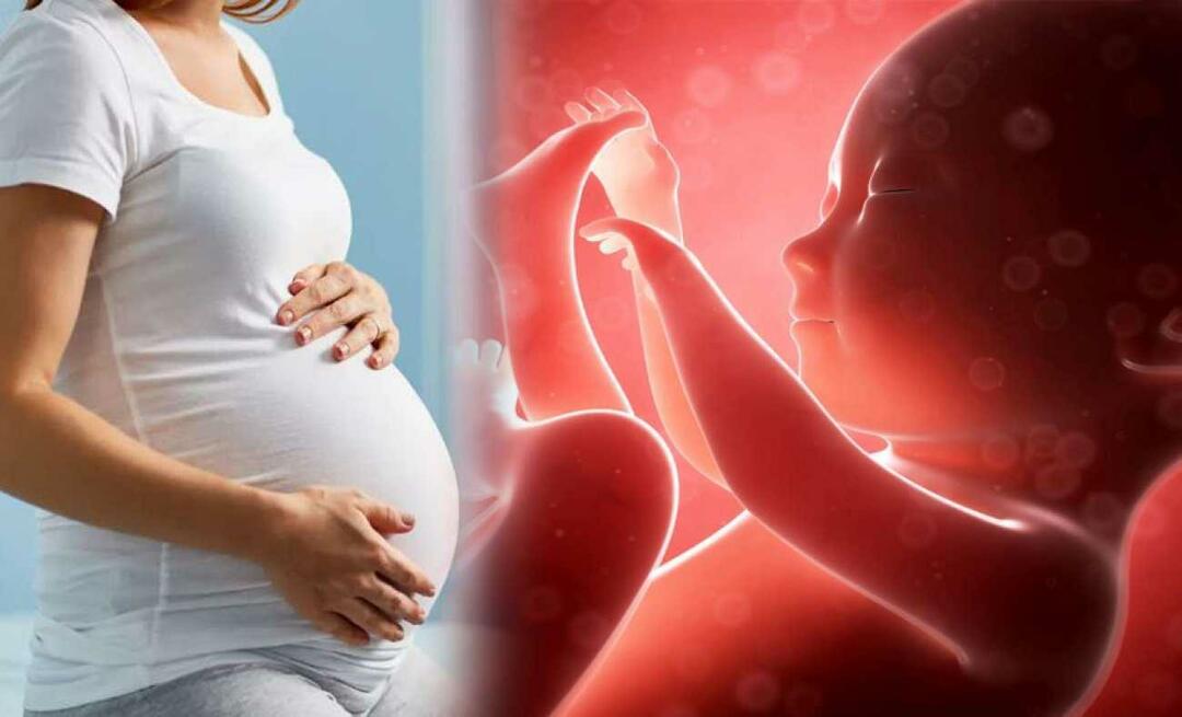 Is de baby koud in de baarmoeder?