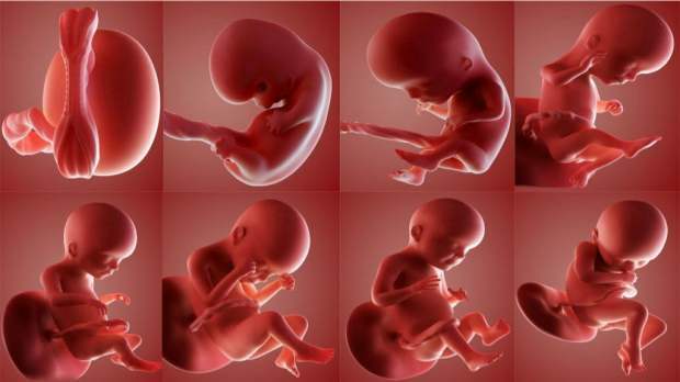 Wordt er een naam gegeven aan het kind dat in de baarmoeder stierf?