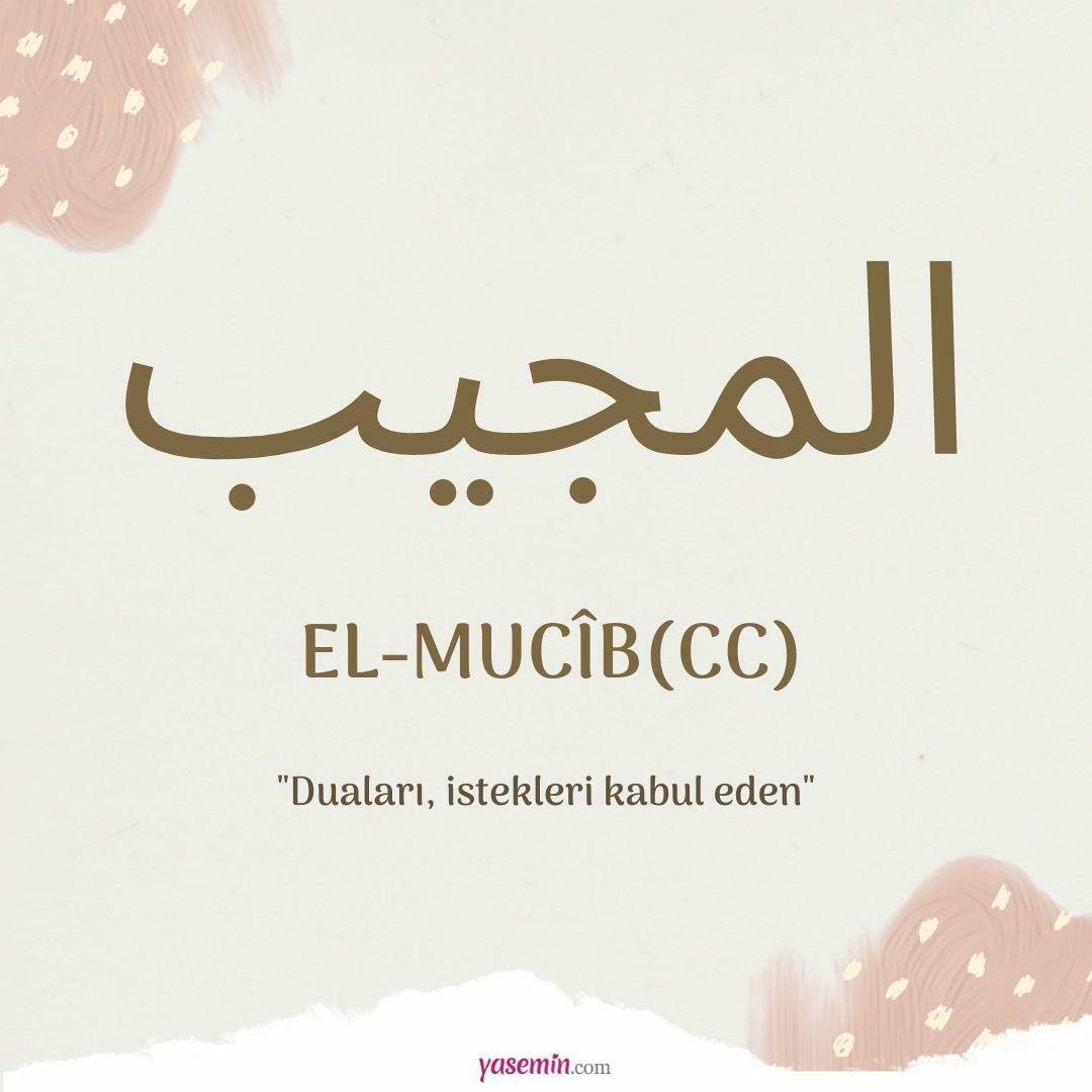 Wat betekent al-Mujib (cc)?