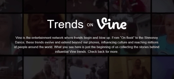trends op wijnstok