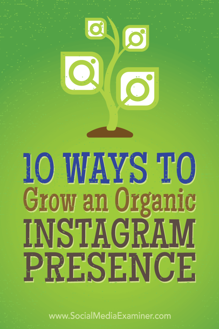 Tips voor 10 tactieken die topmarketeers hebben gebruikt om organisch meer Instagram-volgers te krijgen.