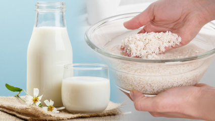 Hoe vetverbrandende rijstmelk bereiden? Afslankmethode met rijstmelk