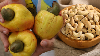 Wat zijn de voordelen van cashew? Dingen die u moet weten over cashewnoten, die de gezondheid van de ogen positief beïnvloeden ...