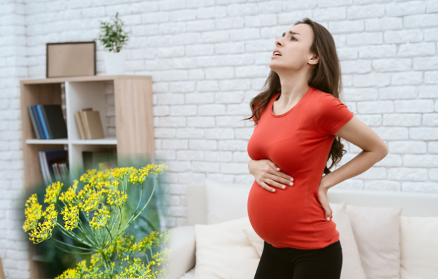 natuurlijke remedie tegen lage rugpijn tijdens de zwangerschap