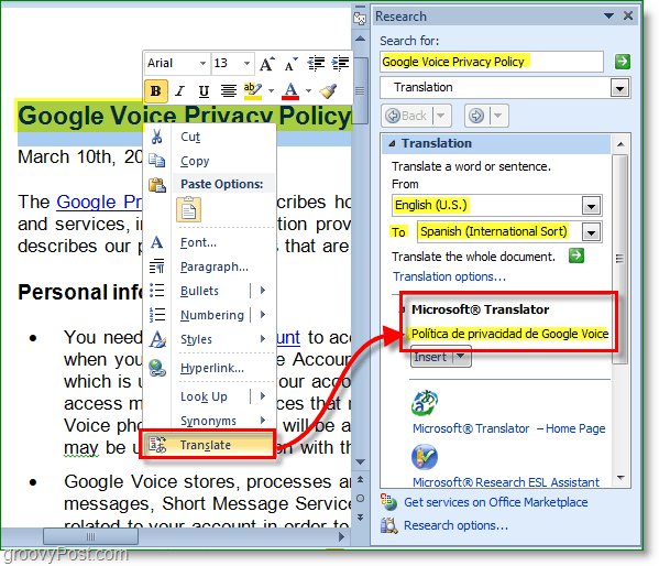 Office 2010 kan ook individuele woorden en betekenissen vertalen