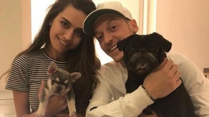 Mesut Özil viert de verjaardag van zijn verloofde Amine Gülşe