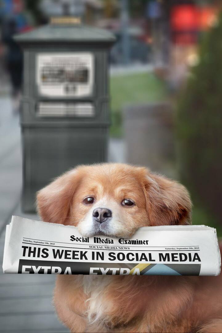 Meerkat introduceert live hashtags: deze week in sociale media: sociale media-examinator