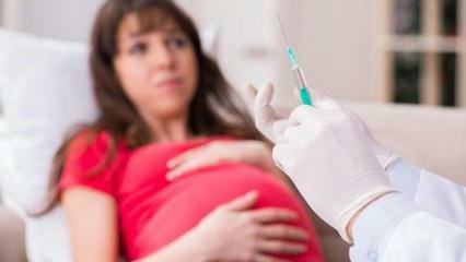 Waarschuwing van experts! Zwangere vrouwen wachten op vaccinatie tegen het coronavirus