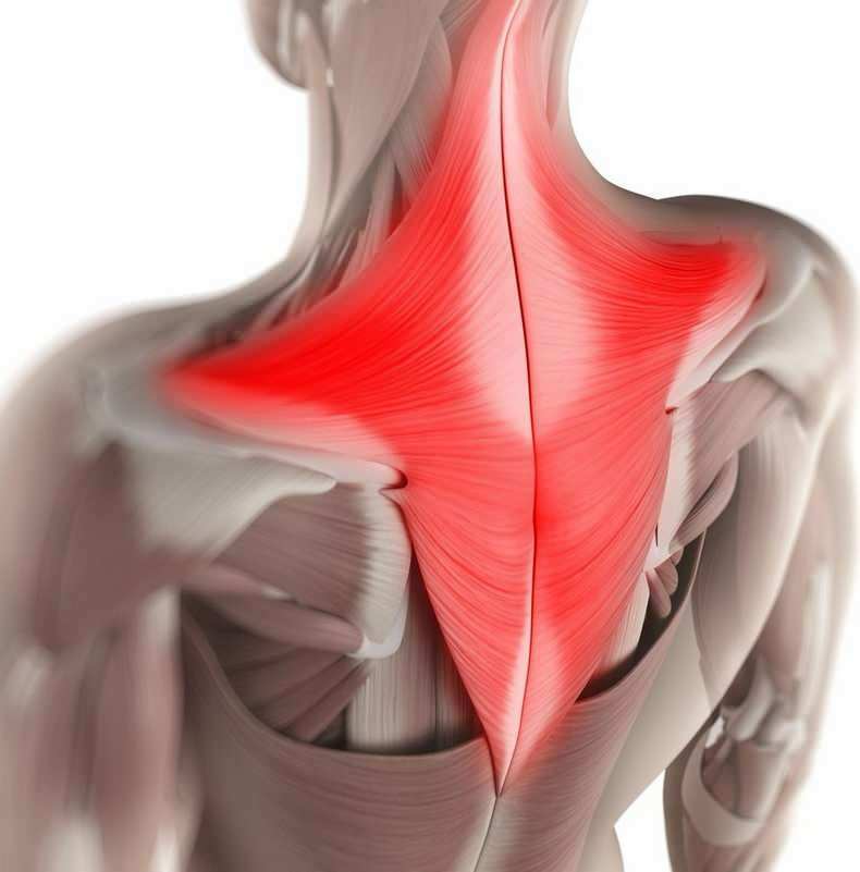 Overdag kunnen onbewust de spieren in het nekgebied in de verkeerde zithoudingen worden getrokken. 