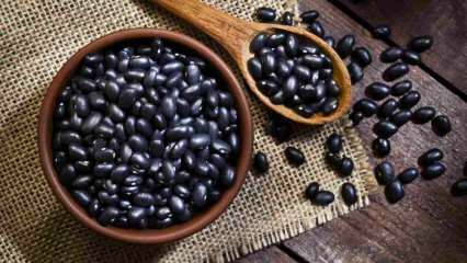 Wat zijn de voordelen van zwarte bonen? Zwarte bonen ondersteunen de spiergroei! 