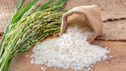 Wat is Baldo-rijst? Wat zijn de kenmerken van Baldo-rijst? Baldo rijst prijzen 2020
