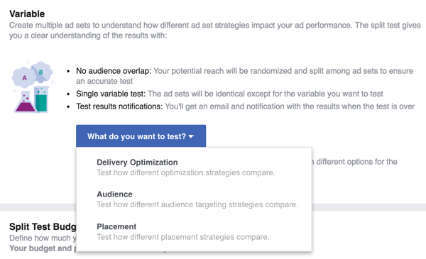 Selecteer de variabele die u wilt testen met uw Facebook-advertentie.