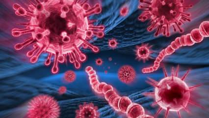 Wat is het Mers-virus? Wat zijn de symptomen van het Mers-virus? Hoe wordt het Mers-virus overgedragen?
