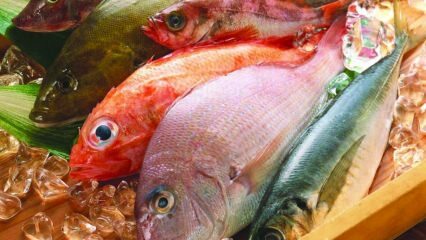 Wat zijn de voordelen van vis? Hoe is vis het gezondst?