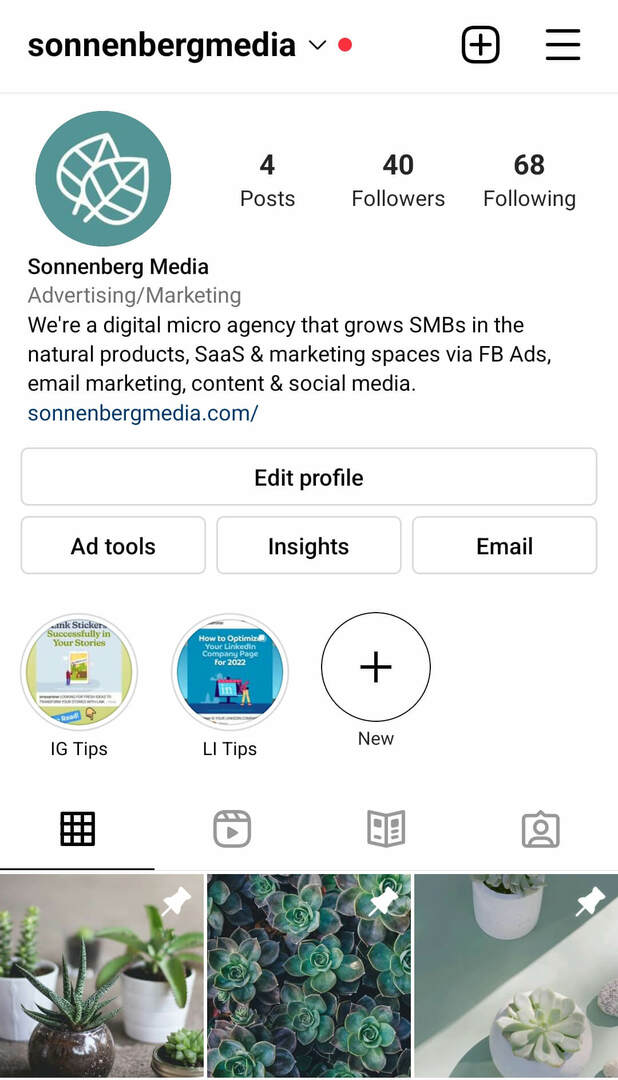 instagram-post-spoelen-pinning-functies-sonnenbergmedia-voorbeeld-1